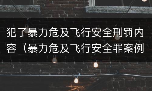 犯了暴力危及飞行安全刑罚内容（暴力危及飞行安全罪案例）