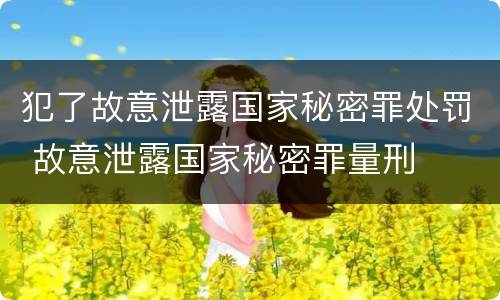 犯了故意泄露国家秘密罪处罚 故意泄露国家秘密罪量刑
