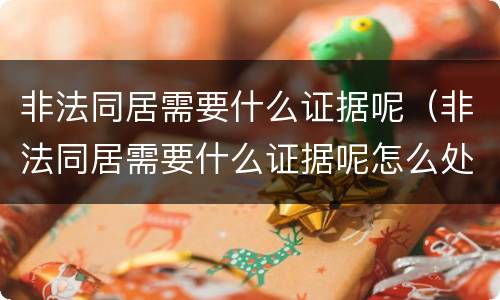 非法同居需要什么证据呢（非法同居需要什么证据呢怎么处理）