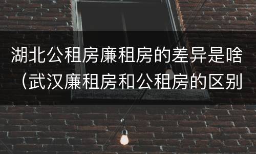 湖北公租房廉租房的差异是啥（武汉廉租房和公租房的区别）