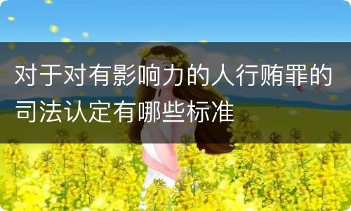对于对有影响力的人行贿罪的司法认定有哪些标准