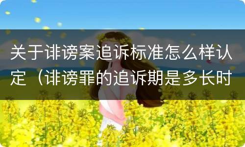 关于诽谤案追诉标准怎么样认定（诽谤罪的追诉期是多长时间）