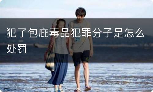 犯了包庇毒品犯罪分子是怎么处罚