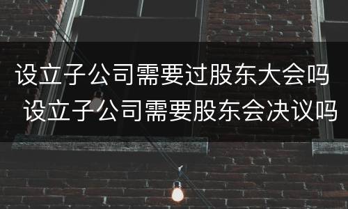 设立子公司需要过股东大会吗 设立子公司需要股东会决议吗