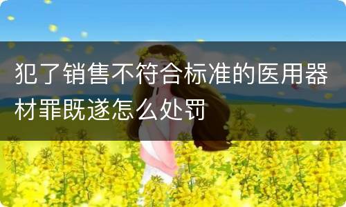 犯了销售不符合标准的医用器材罪既遂怎么处罚