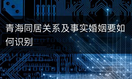 青海同居关系及事实婚姻要如何识别