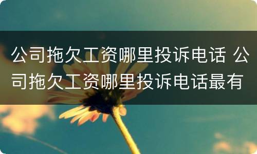 公司拖欠工资哪里投诉电话 公司拖欠工资哪里投诉电话最有效