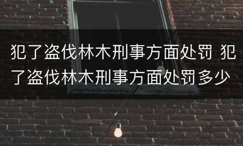 犯了盗伐林木刑事方面处罚 犯了盗伐林木刑事方面处罚多少钱