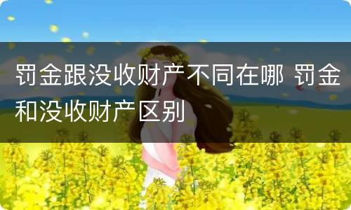 罚金跟没收财产不同在哪 罚金和没收财产区别