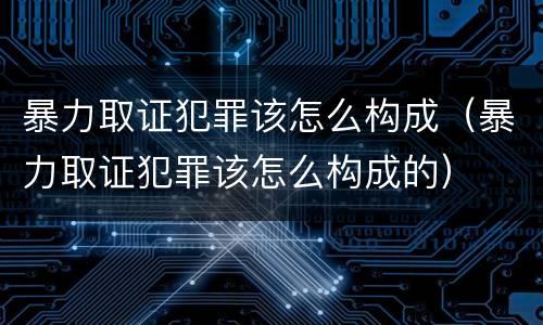 暴力取证犯罪该怎么构成（暴力取证犯罪该怎么构成的）