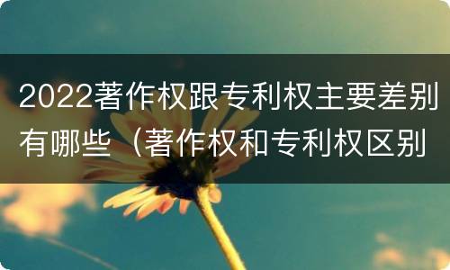 2022著作权跟专利权主要差别有哪些（著作权和专利权区别）
