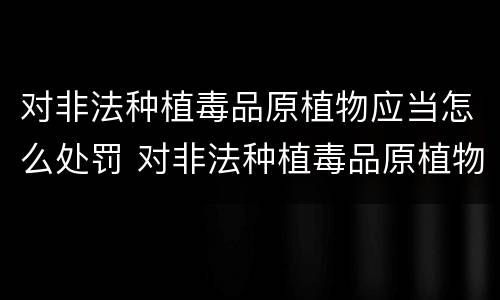 对非法种植毒品原植物应当怎么处罚 对非法种植毒品原植物的政府应采取什么措施