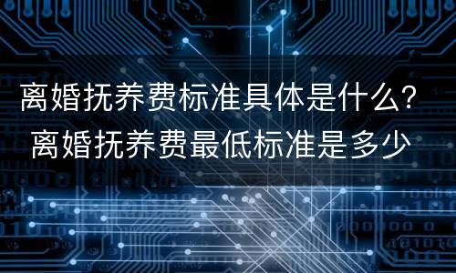 离婚抚养费标准具体是什么？ 离婚抚养费最低标准是多少