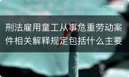 刑法雇用童工从事危重劳动案件相关解释规定包括什么主要内容