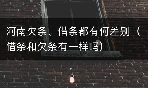 河南欠条、借条都有何差别（借条和欠条有一样吗）