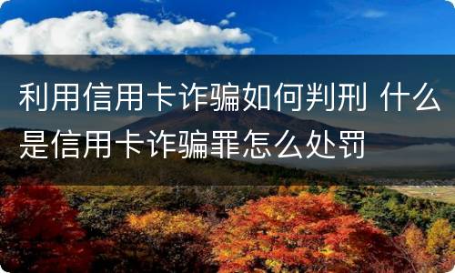 利用信用卡诈骗如何判刑 什么是信用卡诈骗罪怎么处罚