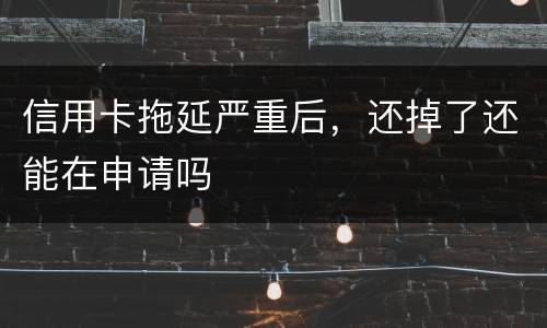 信用卡拖延严重后，还掉了还能在申请吗