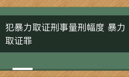 犯暴力取证刑事量刑幅度 暴力取证罪