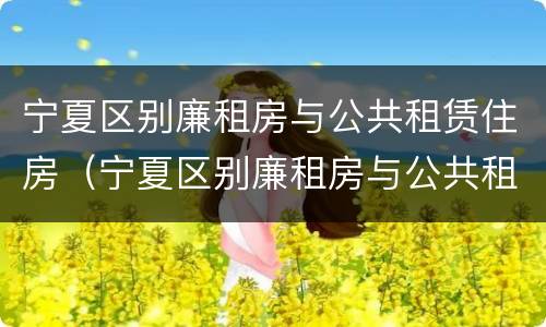 宁夏区别廉租房与公共租赁住房（宁夏区别廉租房与公共租赁住房的区别）
