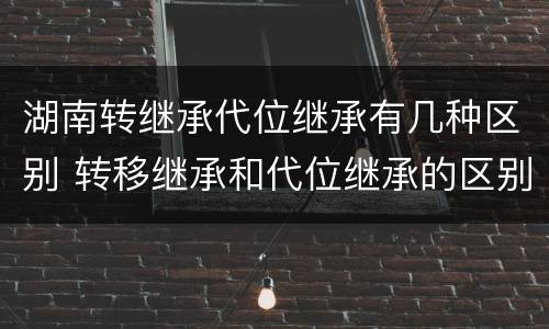 湖南转继承代位继承有几种区别 转移继承和代位继承的区别