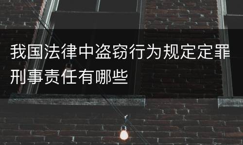 我国法律中盗窃行为规定定罪刑事责任有哪些