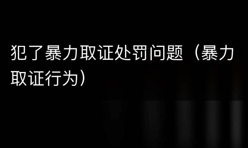 犯了暴力取证处罚问题（暴力取证行为）
