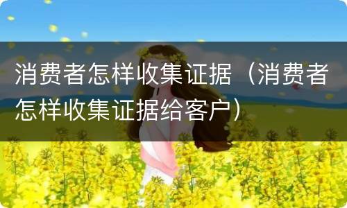 消费者怎样收集证据（消费者怎样收集证据给客户）
