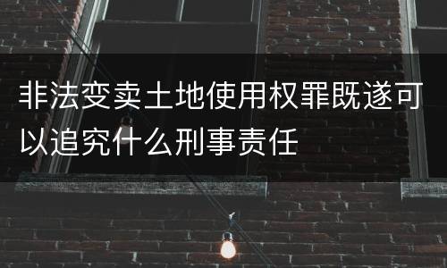 非法变卖土地使用权罪既遂可以追究什么刑事责任