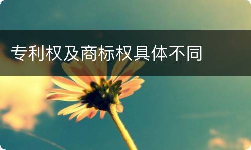专利权及商标权具体不同