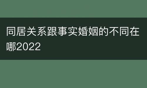 同居关系跟事实婚姻的不同在哪2022