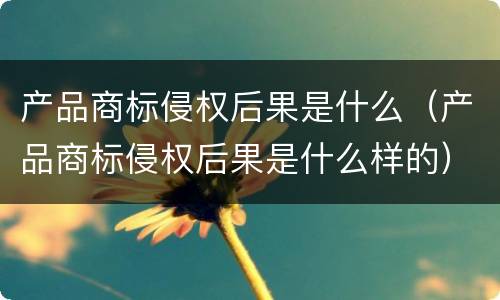 产品商标侵权后果是什么（产品商标侵权后果是什么样的）