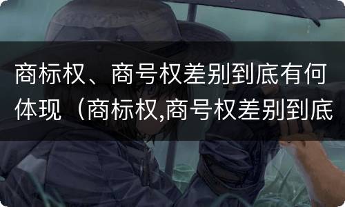 商标权、商号权差别到底有何体现（商标权,商号权差别到底有何体现和影响）