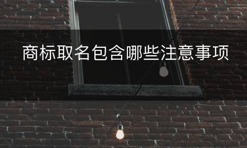   商标取名包含哪些注意事项