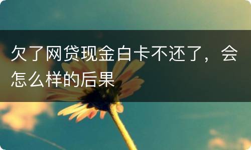 欠了网贷现金白卡不还了，会怎么样的后果