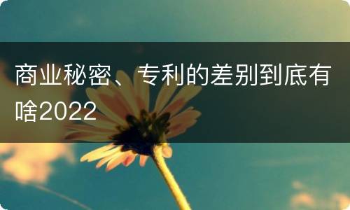 商业秘密、专利的差别到底有啥2022
