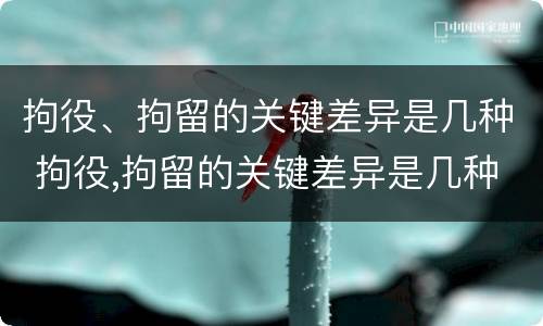 拘役、拘留的关键差异是几种 拘役,拘留的关键差异是几种类型