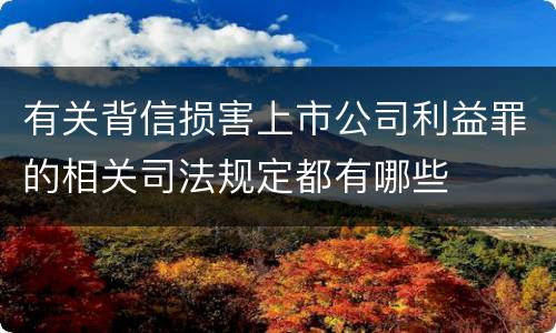 有关背信损害上市公司利益罪的相关司法规定都有哪些