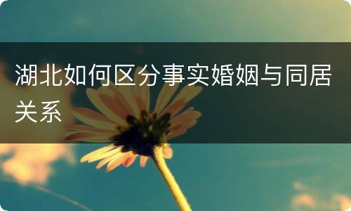 湖北如何区分事实婚姻与同居关系