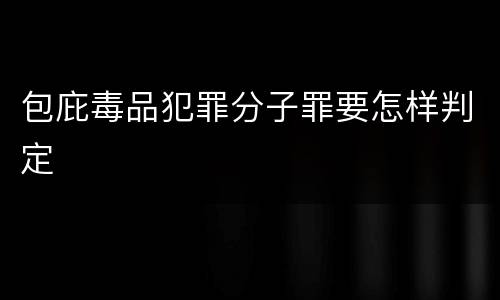 包庇毒品犯罪分子罪要怎样判定