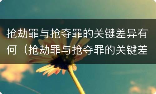 抢劫罪与抢夺罪的关键差异有何（抢劫罪与抢夺罪的关键差异有何表现）