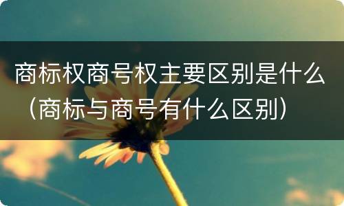 商标权商号权主要区别是什么（商标与商号有什么区别）