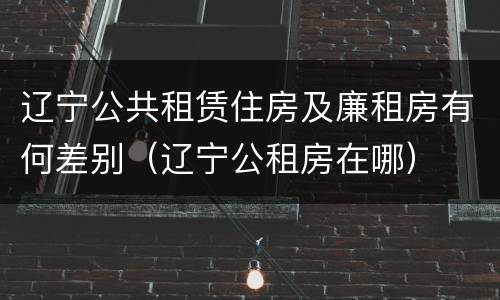 辽宁公共租赁住房及廉租房有何差别（辽宁公租房在哪）