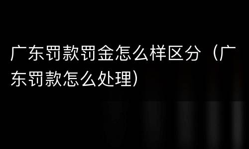 广东罚款罚金怎么样区分（广东罚款怎么处理）