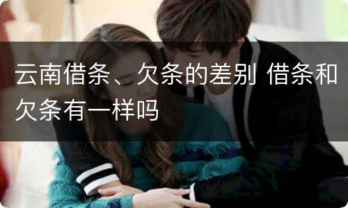 云南借条、欠条的差别 借条和欠条有一样吗