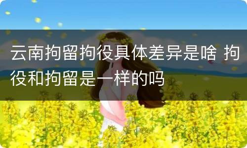 云南拘留拘役具体差异是啥 拘役和拘留是一样的吗