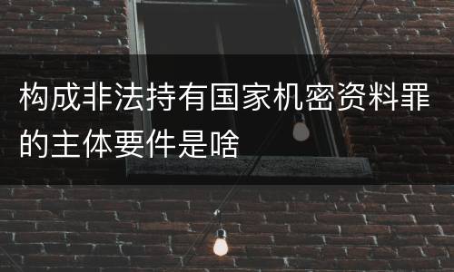 构成非法持有国家机密资料罪的主体要件是啥