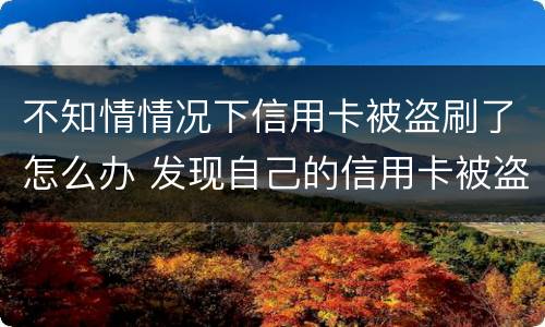 不知情情况下信用卡被盗刷了怎么办 发现自己的信用卡被盗刷 我们怎么办