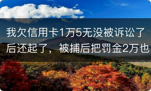 我欠信用卡1万5无没被诉讼了后还起了，被捕后把罚金2万也给了，什么时候放人呀