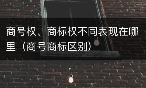 商号权、商标权不同表现在哪里（商号商标区别）