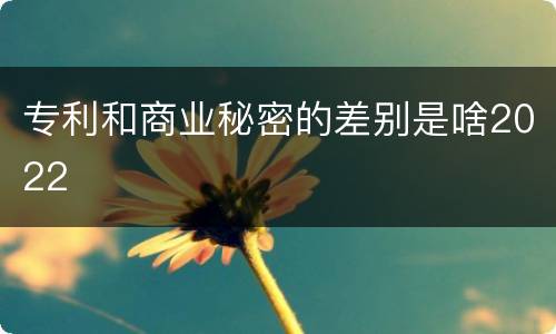 专利和商业秘密的差别是啥2022
